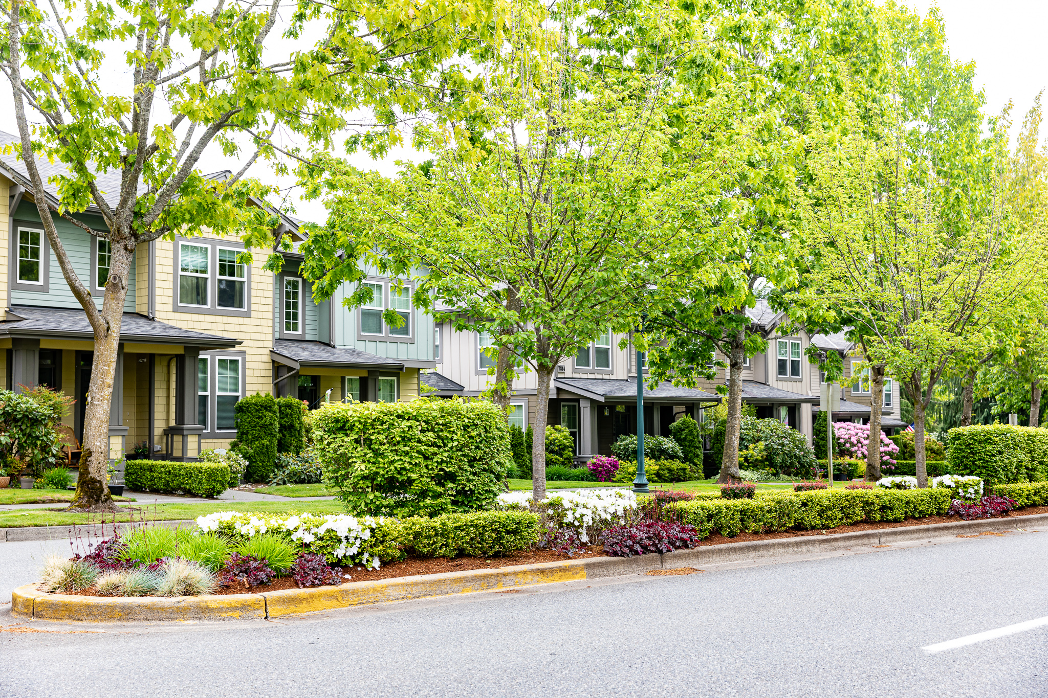 Smart HOA Landscaping: 5 Strategies to Optimize Your Budget and Reduce Annual Costs