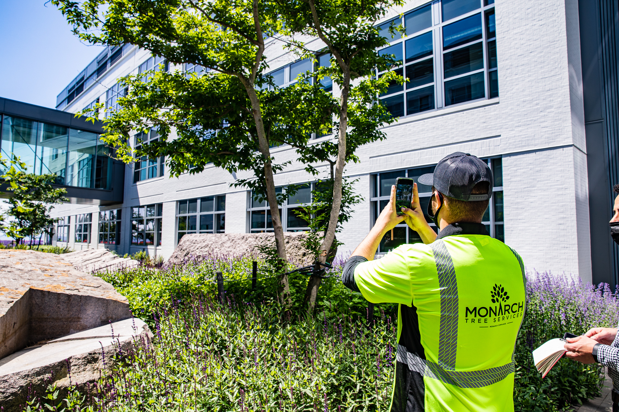The Value of a Certified Arborist: Expert Care for Your Trees