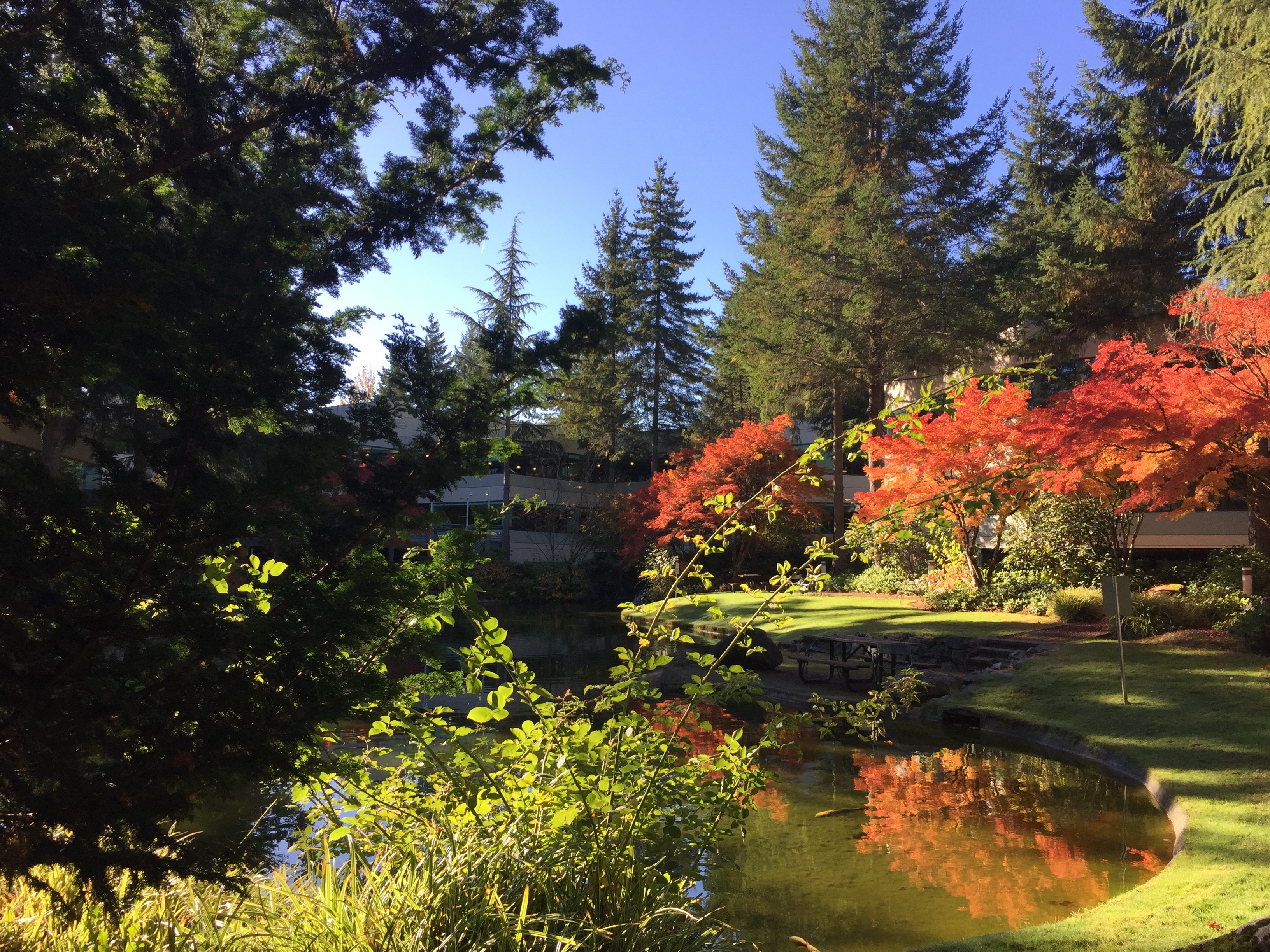 fall lawn maintenance checklist, landscaping in fall, landscaping maintenance checklist