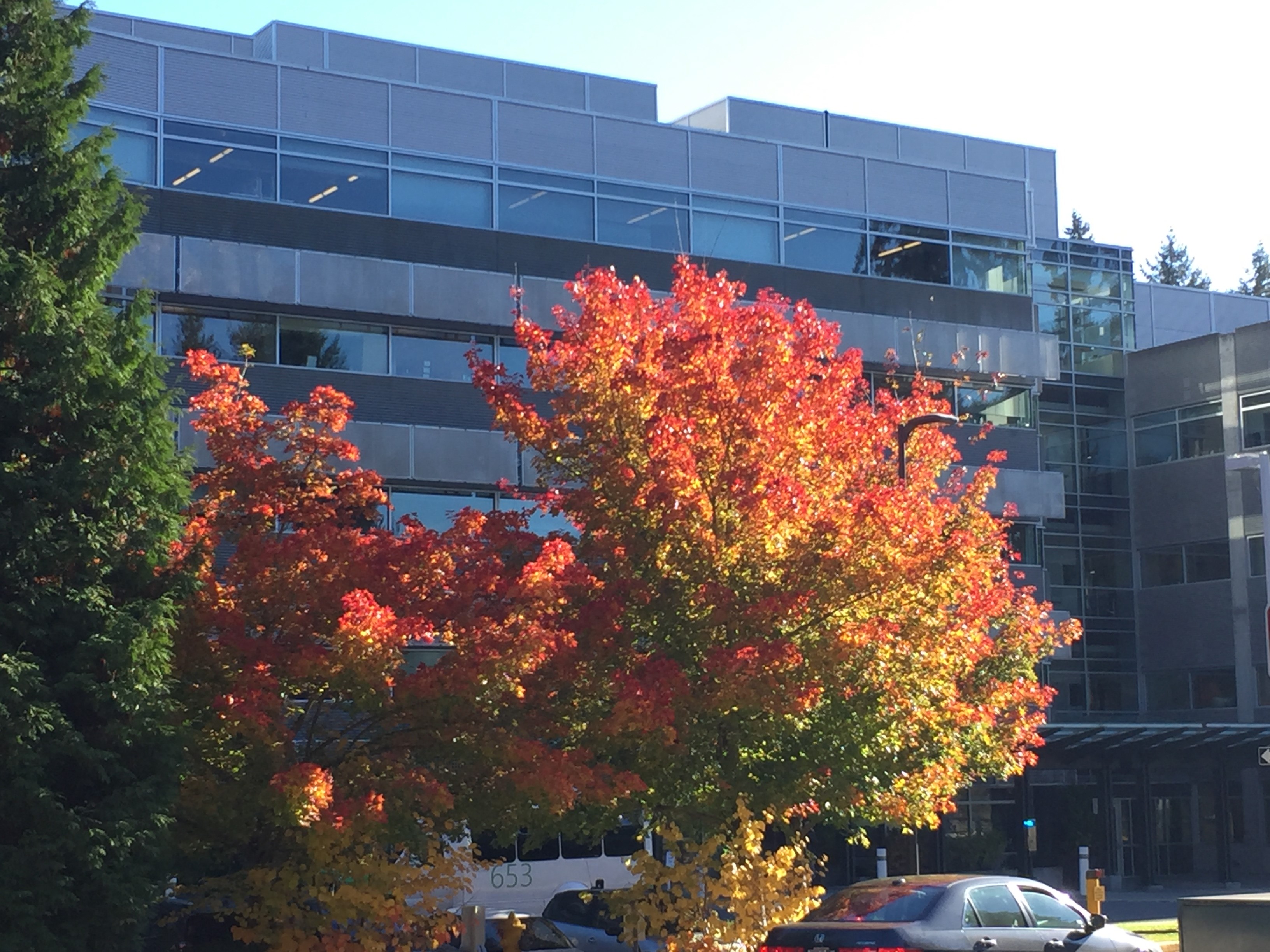 Your Commercial Fall Lawn Maintenance Checklist