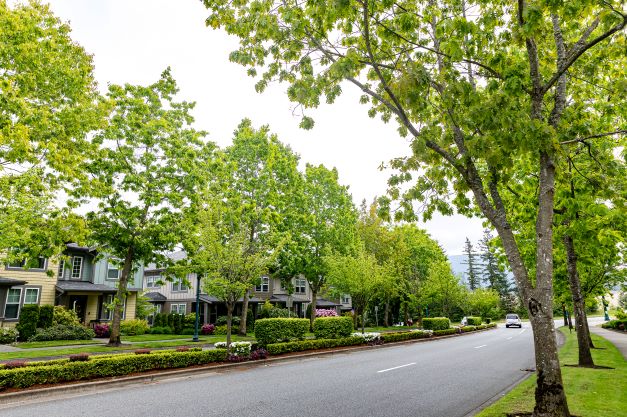 Planning Ahead: Why Fall Renovations Start in Summer