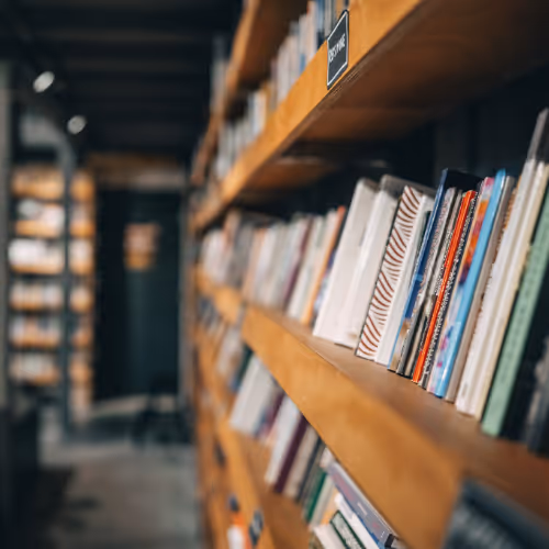 bookshelves filled with books