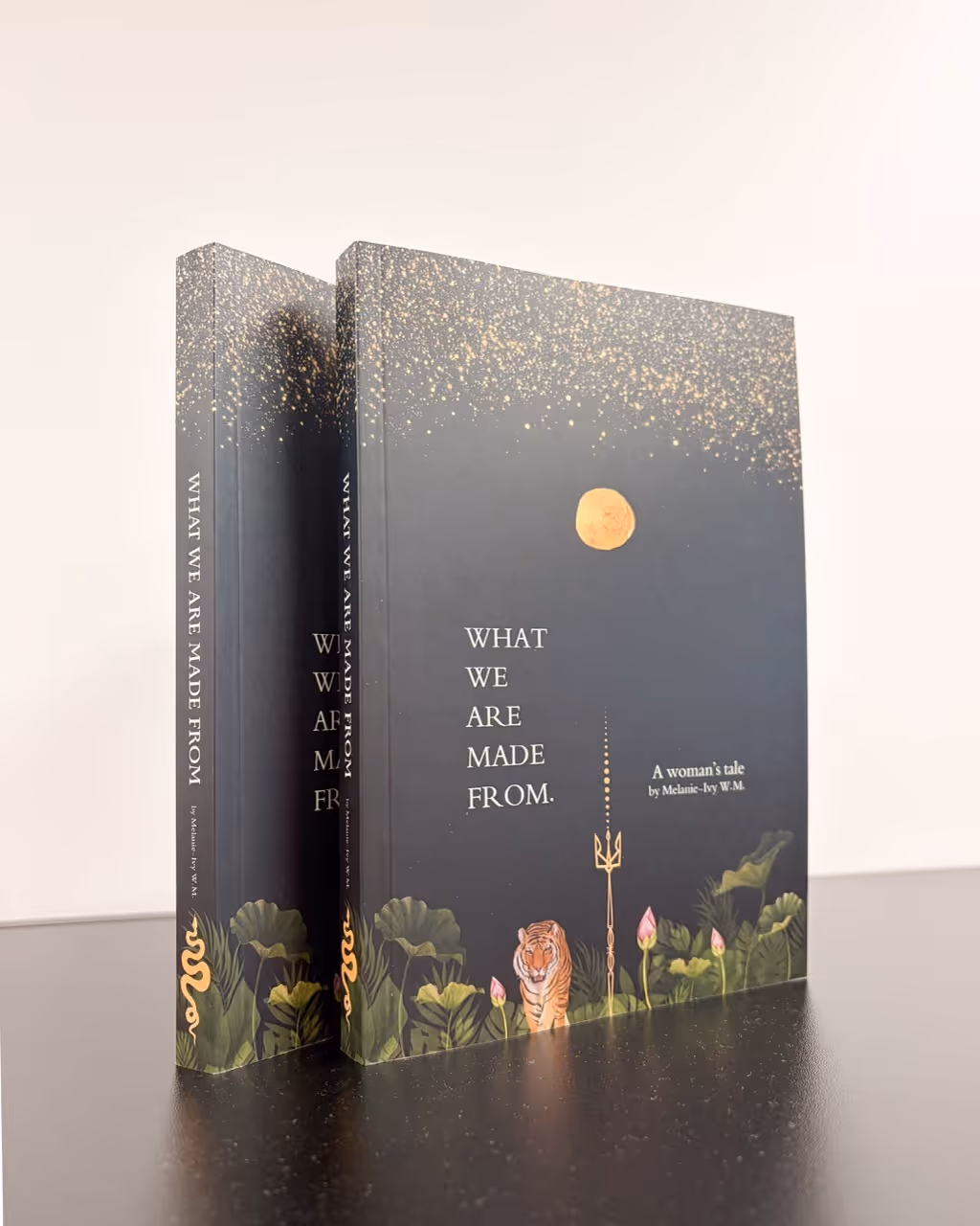 copies of the novel 'What we are made from' by Melanie-Ivy MW