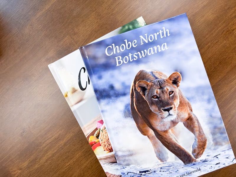 two printed and laminated cover hardcover books on a wooden table