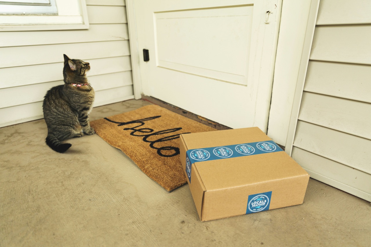 Cat on doorstep next to a package. Photo by Sticker Mule on Unsplash