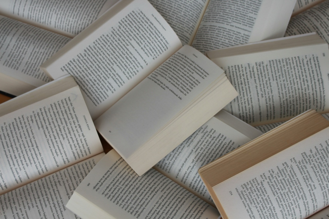 pile of open paperback books. Source: Gülfer ERGİN on Unsplash