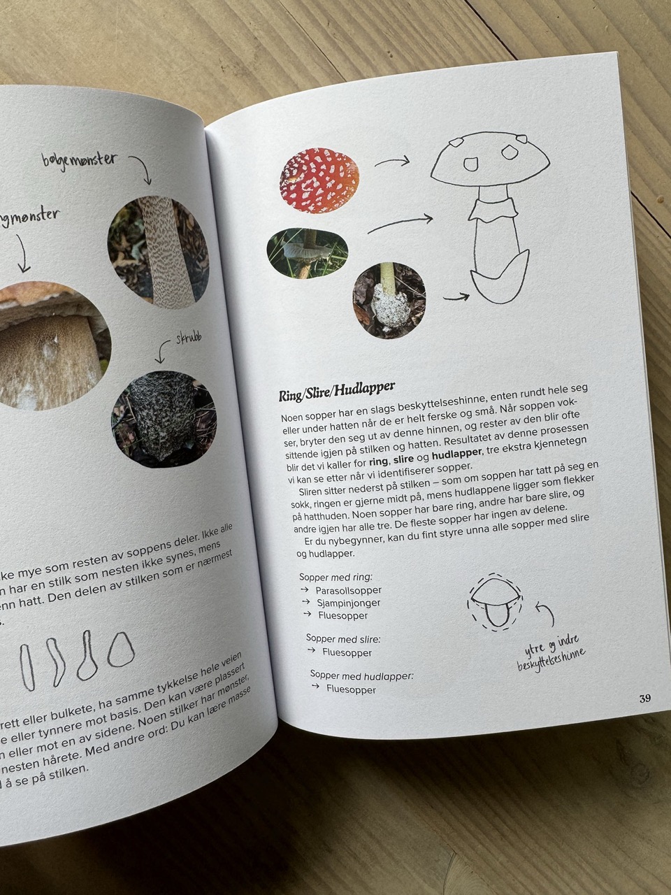 image of the inside of a printed beginner's guide to mushroom foraging