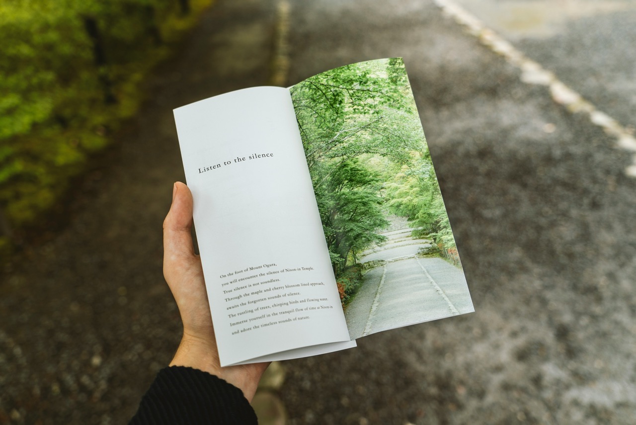 person holding open a brochure. Image source: David Emrich from Unsplash