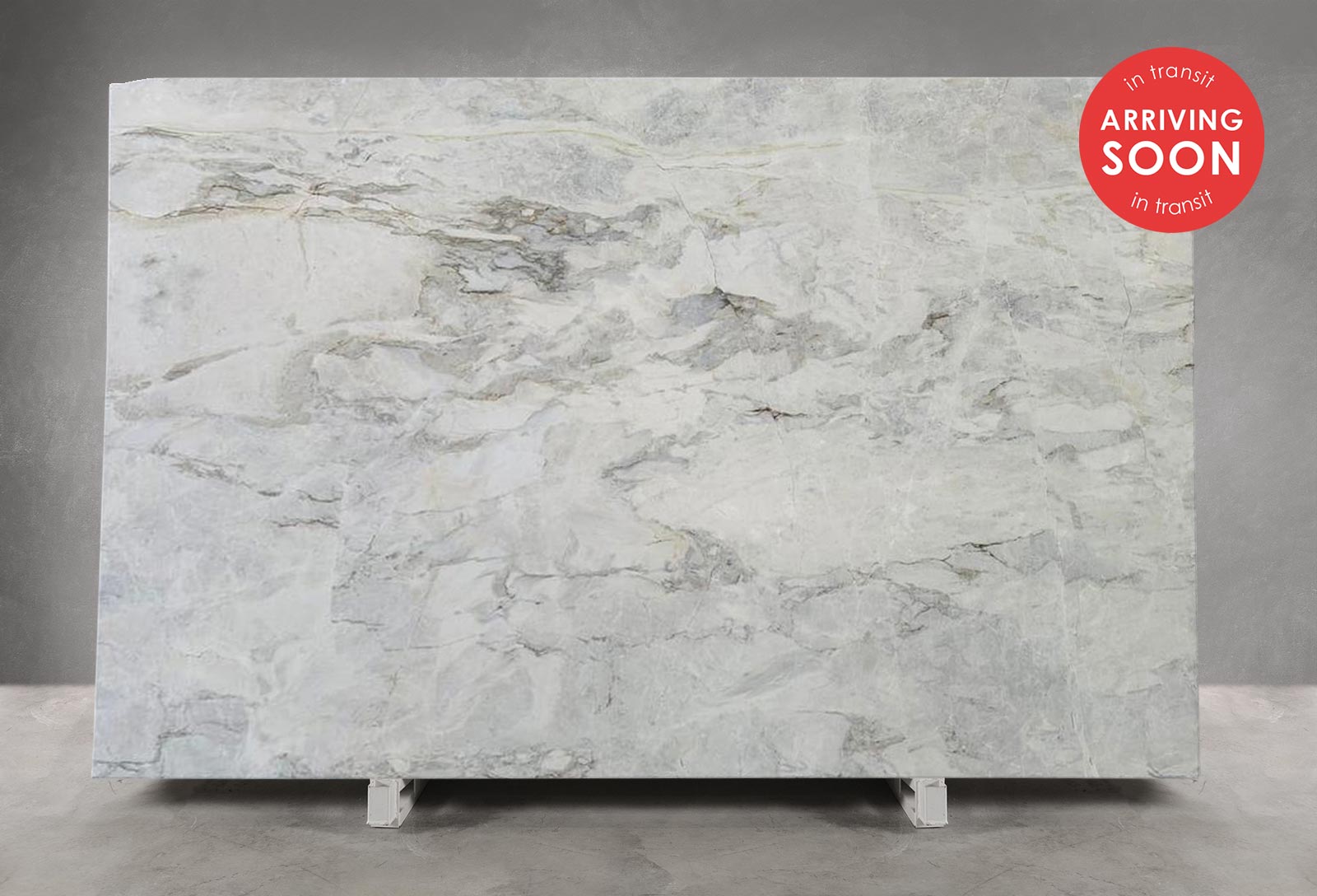 Calacatta Dolomite Honed (Slab in Transit)