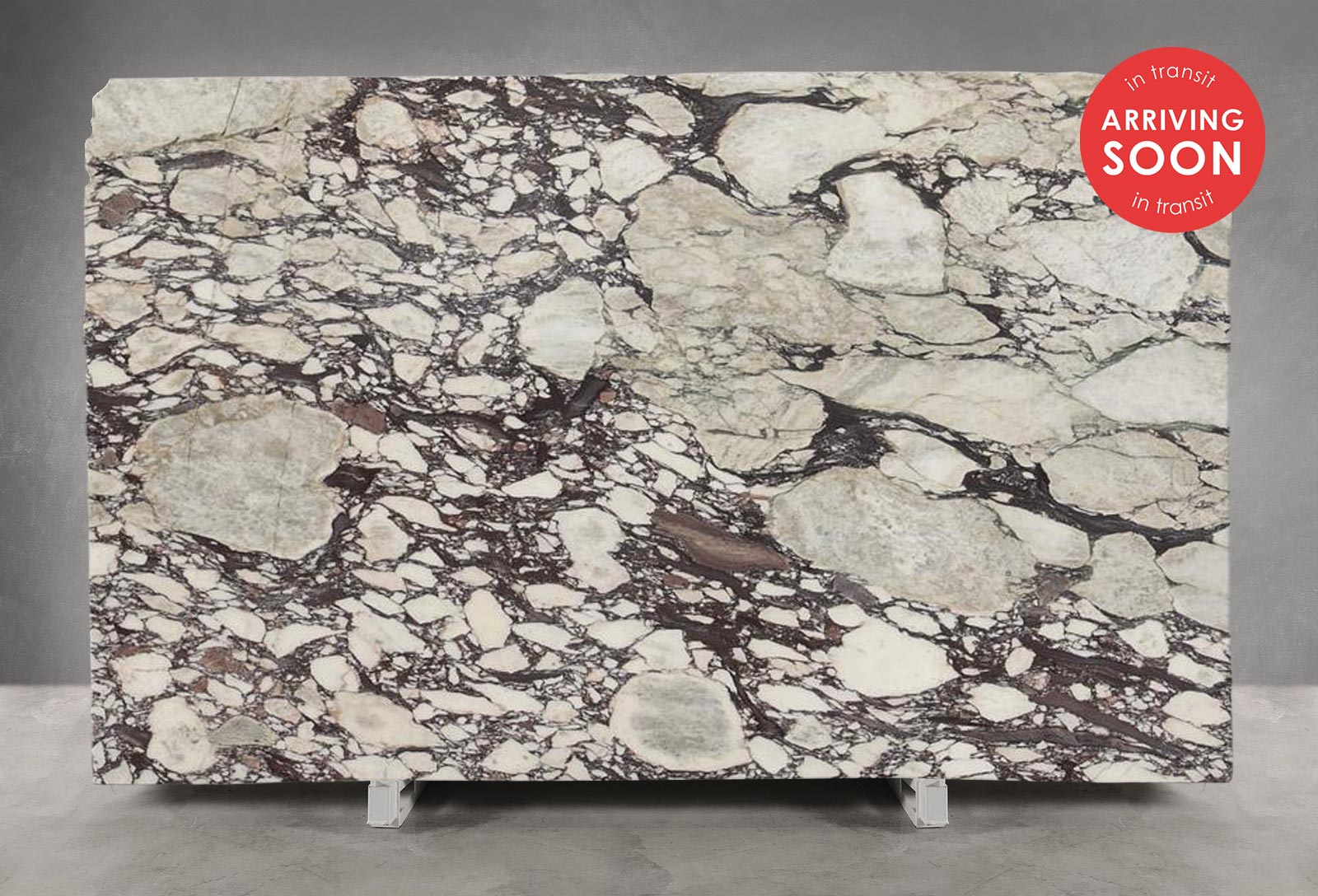 Calacatta Viola Marble Honed (Slab in Transit) 