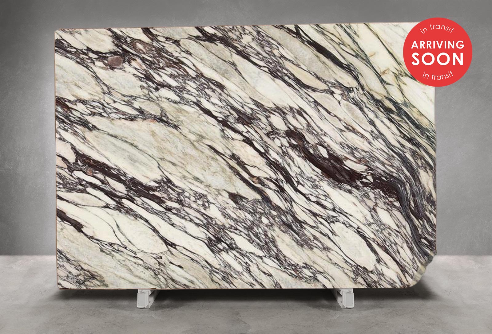 Calacatta Viola Marble Honed (Slab in Transit) 