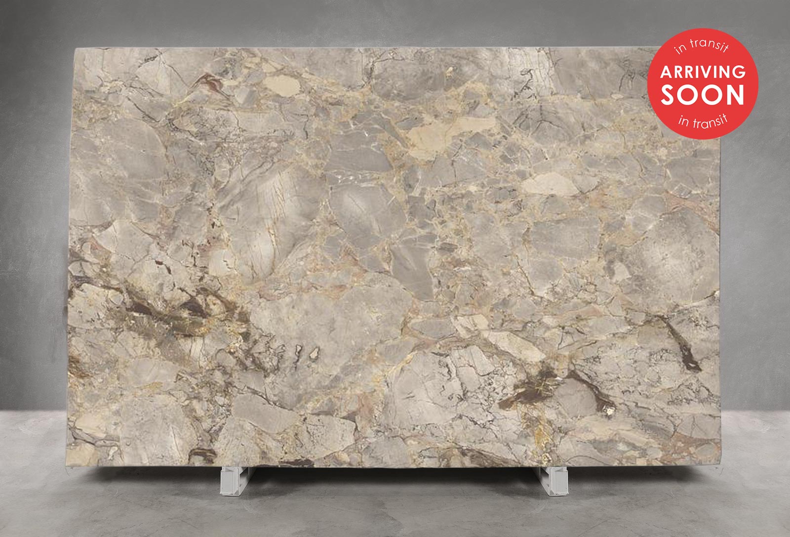 Breccia Versilia Marble Honed (Slab in Transit)