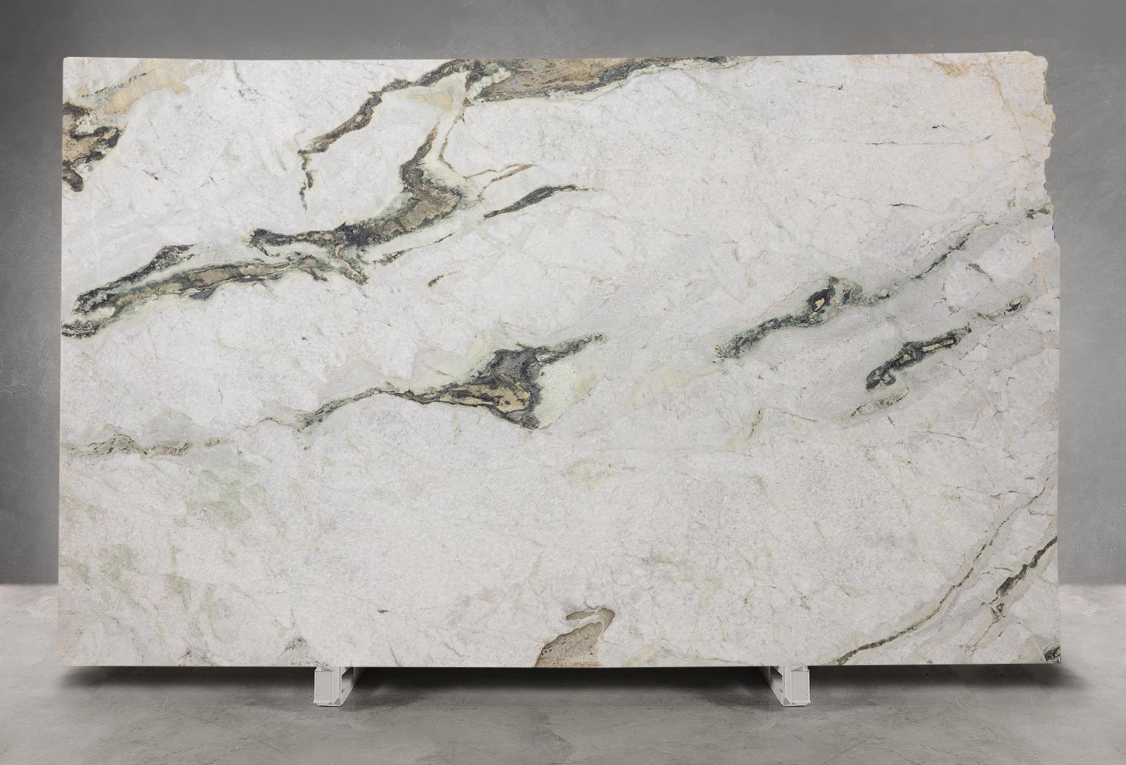 Calacatta Davinci Quartzite Honed Slab | EB127