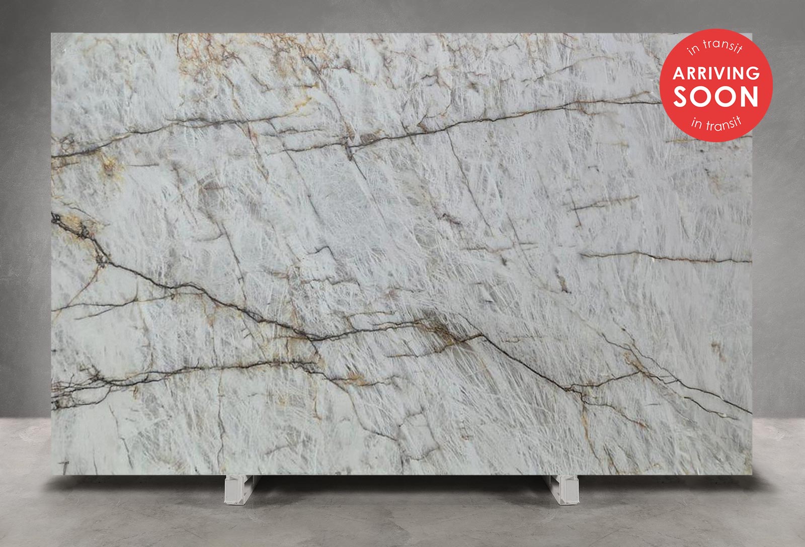 White Cristallo Extra Quartzite Honed (Slab in Transit) 