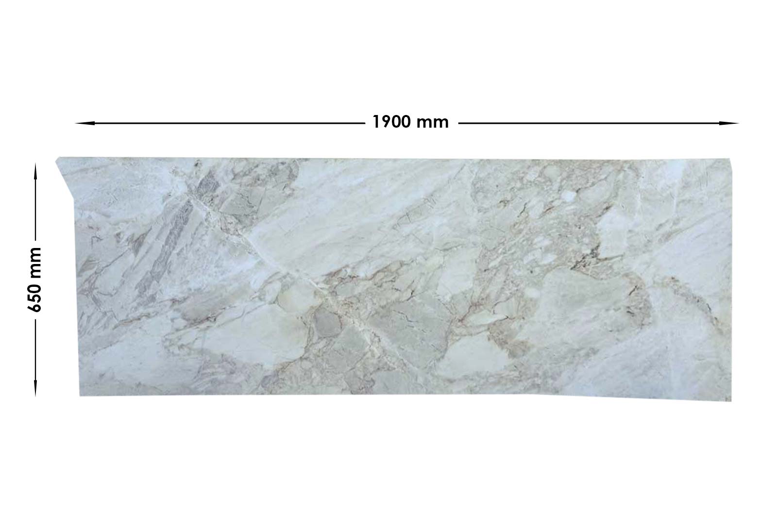 Calacatta Dolomite Honed Off Cut| OC73