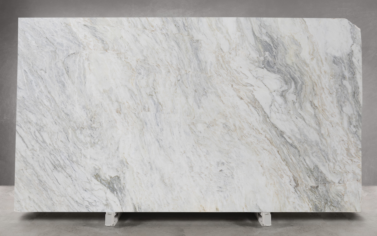 Calacatta Classic Marble Honed Slab | EB238