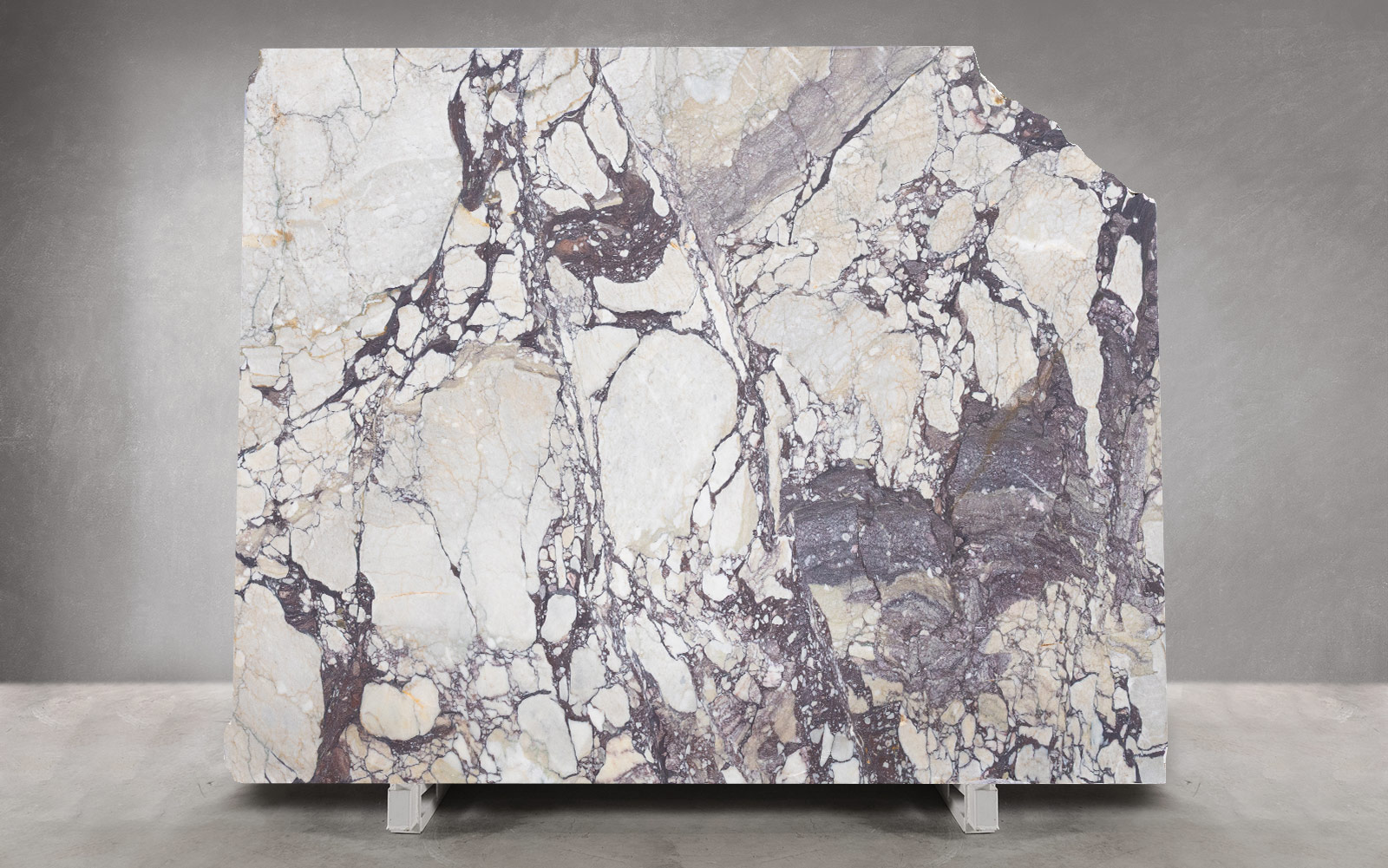 Calacatta Viola Marble Honed Slab | Block 1790