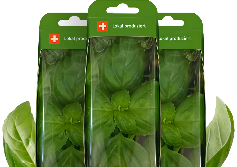 Basil packaging
