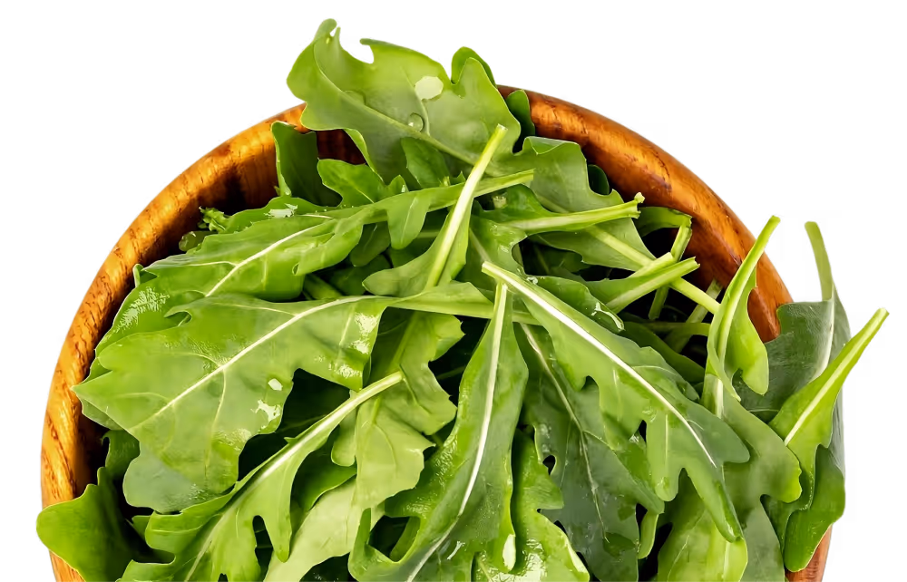 Bowl rucola