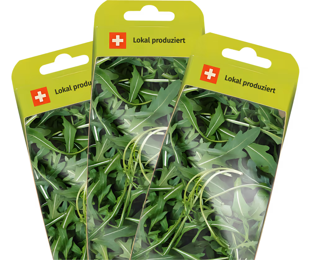 Card Product rucola