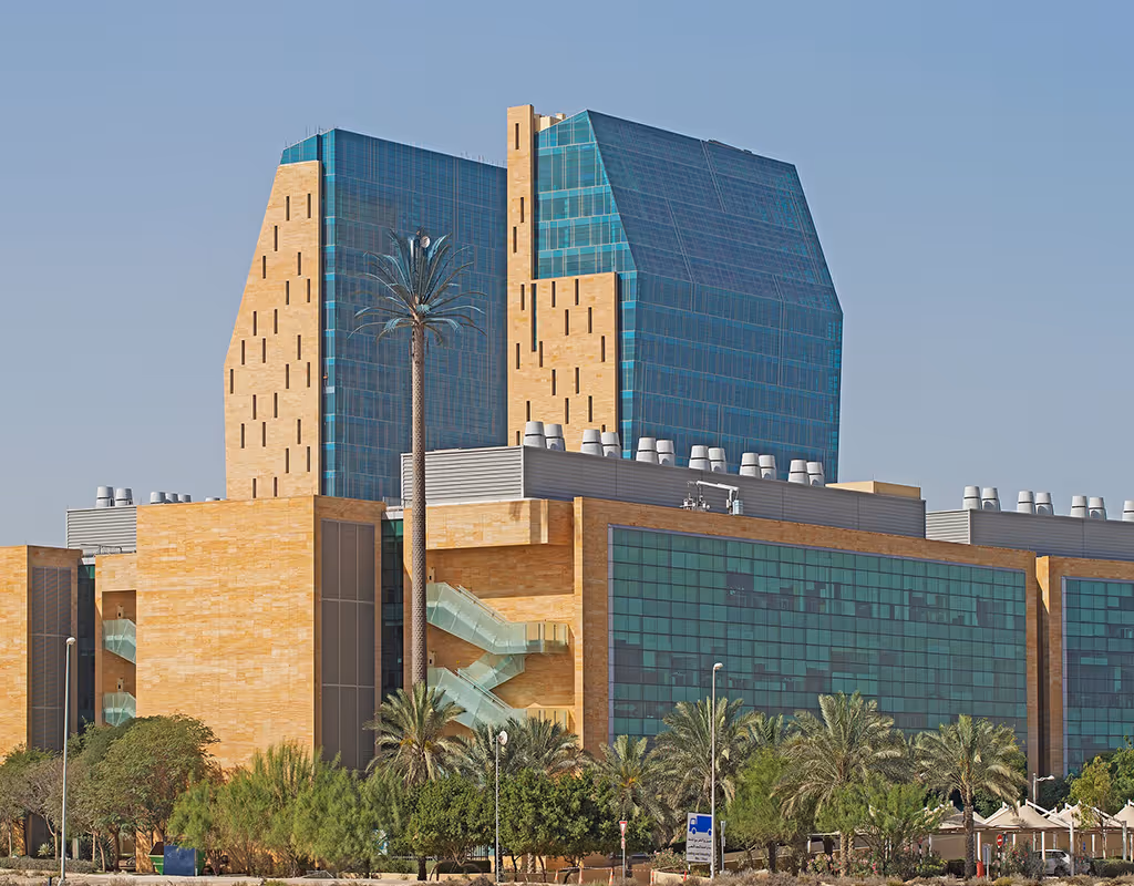 Fueling Precision Medicine and Data-Driven Healthcare in the UAE