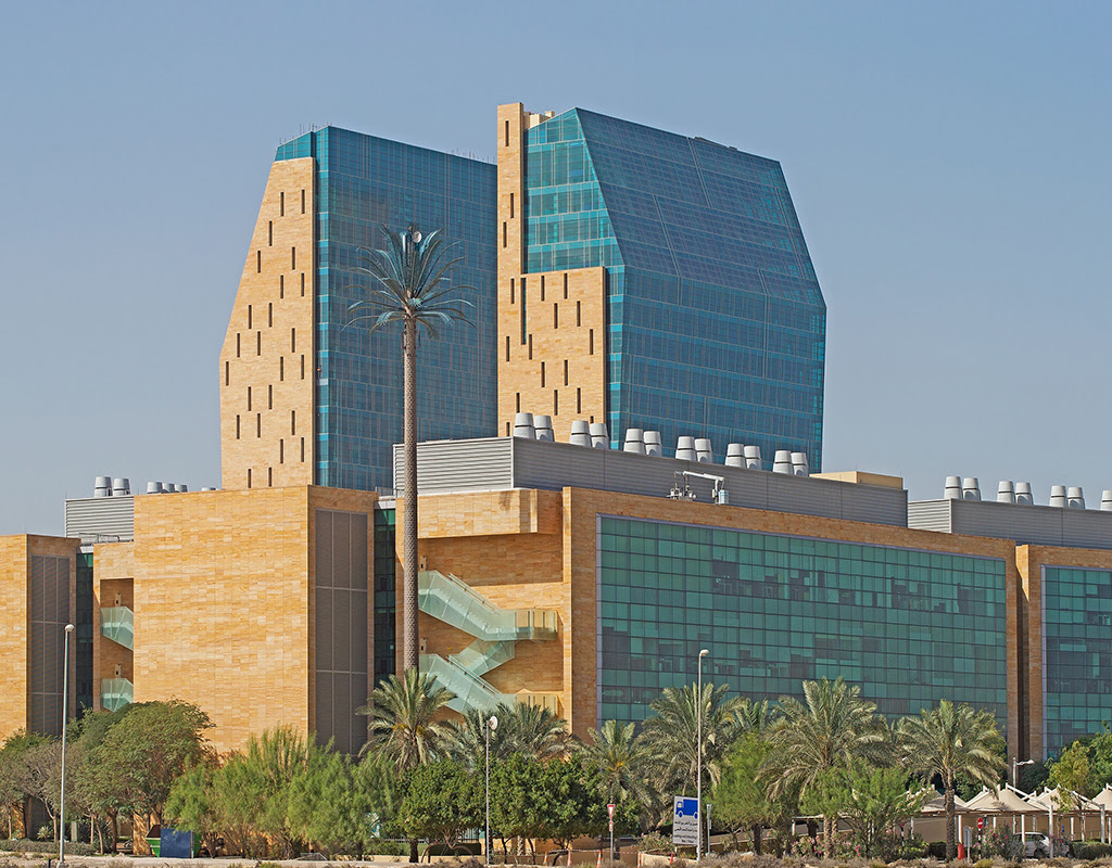 Fueling Precision Medicine and Data-Driven Healthcare in the UAE