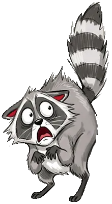 Illustration Waschbär