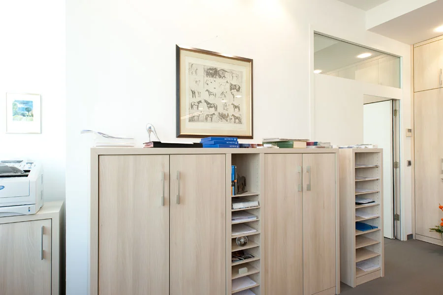 Helle Holz-Büroschränke mit Ablagefächern und Aktenaufbewahrung in einem modernen Büro mit Kunst an der Wand.