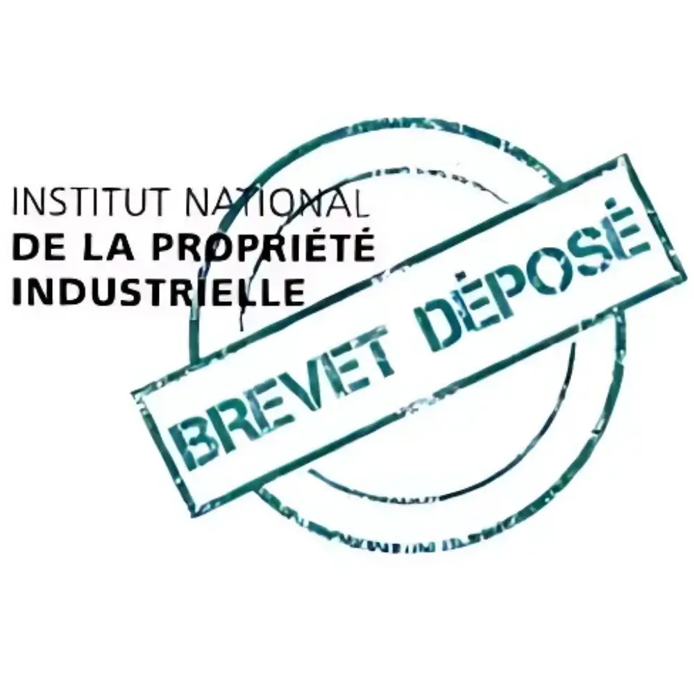 Timbro con scritto Institut National de la Propriété Industrielle e Brevet Déposé.