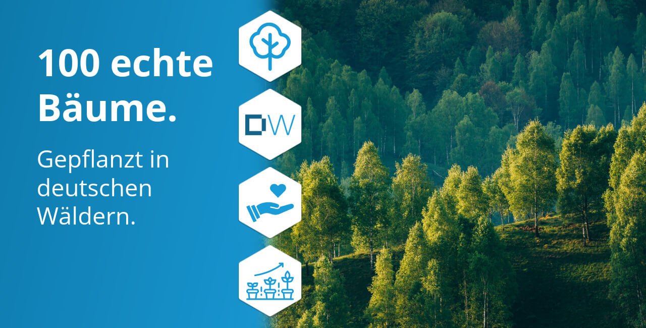 Unser Unternehmenswald 100 Bäume gespendet