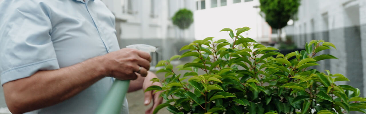 Baum wird bewässert 