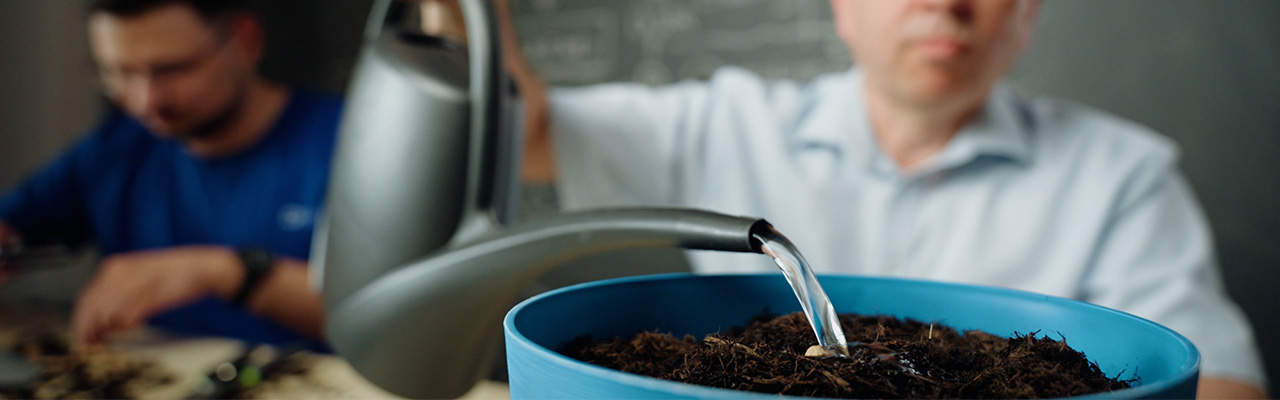 Der Samen im Topf wird gegossen