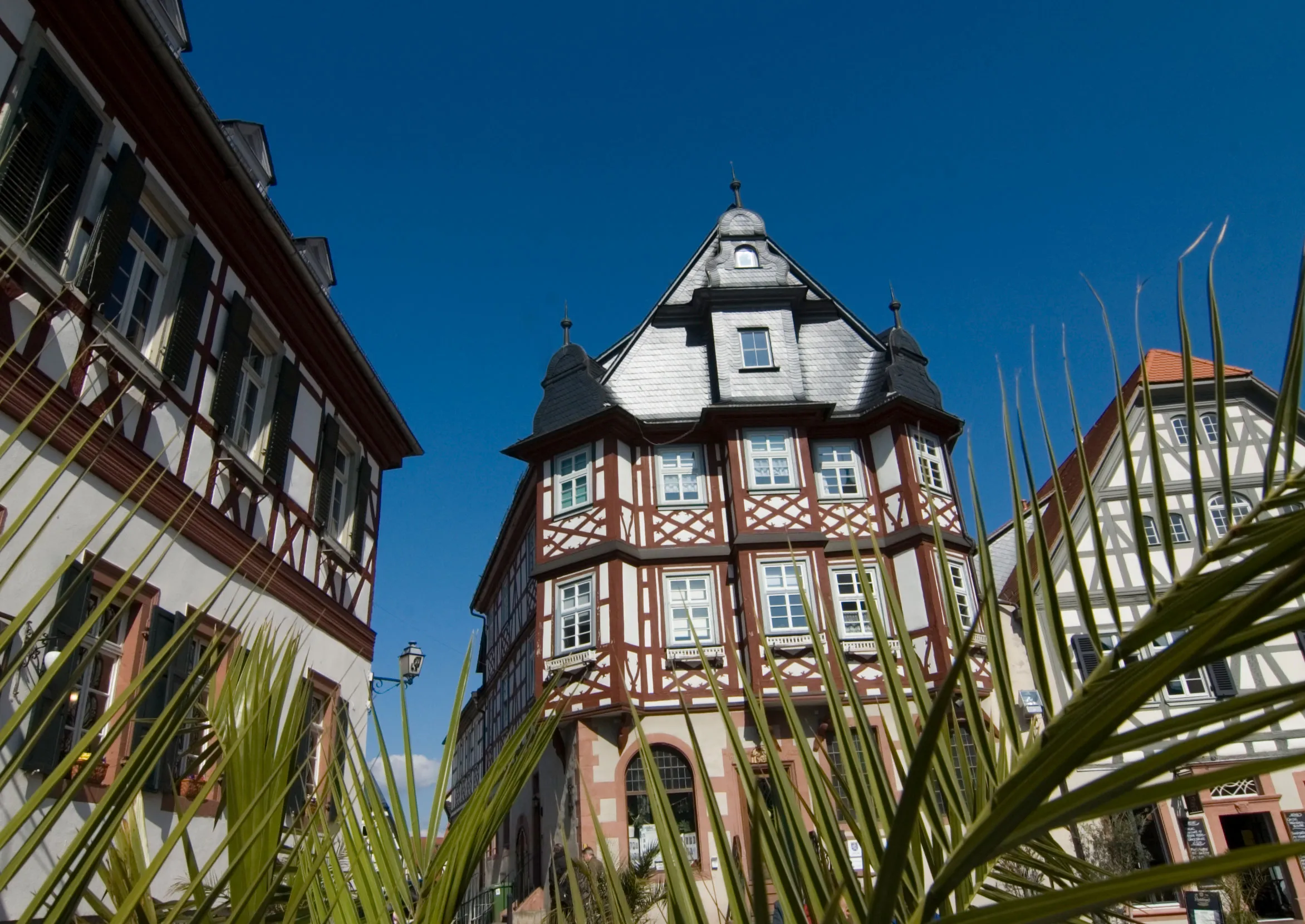 Fachwerkhäuser mit dekorativen Holzbalken unter klarem blauem Himmel, teilweise von grünen Palmwedeln verdeckt.