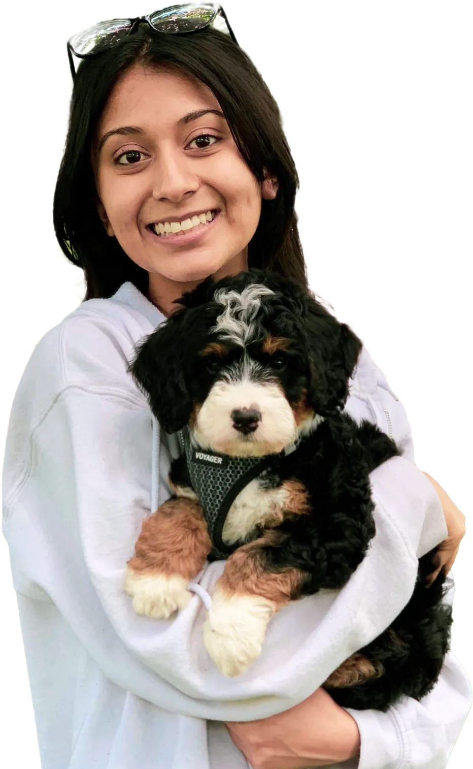 A woman holds a small black, brown, and white bernedoodle puppy in her arms.