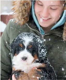 A girl in a hooded winter jacket holds a fluffy puppy while snow falls around them.