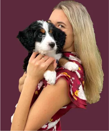 A woman with long blonde hair in a red floral dress holds a black, white, and brown bernedoodle puppy.