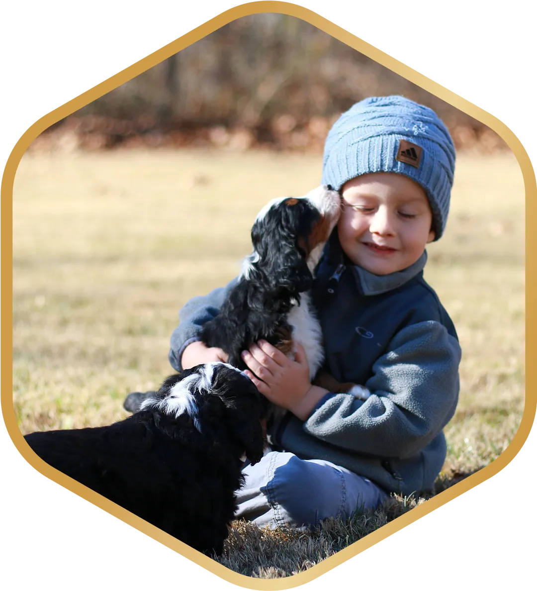 A young child sitting on grass is hugged by a puppy.