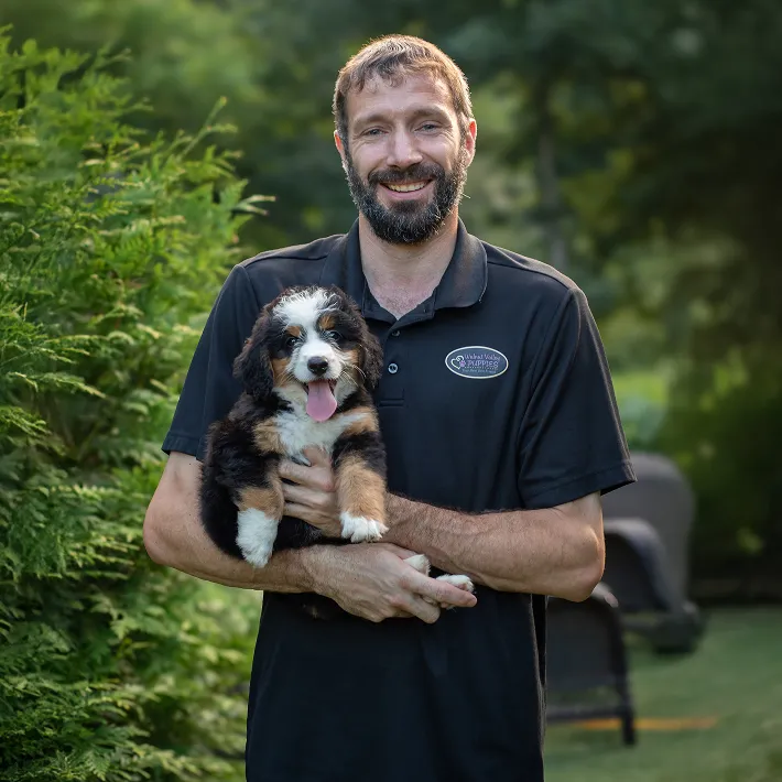 Co-owner of Walnut vallye puppies Javin, smiling and holding a tiny bernedoodle puppy