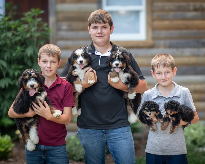 Japheth, Josiah, and Jayden - sons of the Walnut Valley family, each holding 2 small bednedoodle puppies