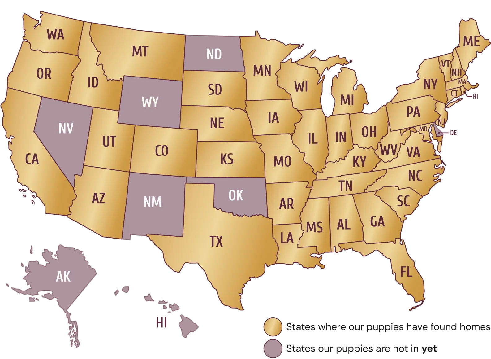 A map of the United States showcasing all the states a our puppies have founds forever homes in.