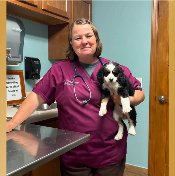 Dr. Brittany - a veterinarian in maroon scrubs stands in an exam room, holding a bernedoodle puppy and smiling at the camera.