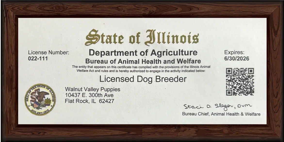Licensed Dog Breeder license issued to Walnut Valley Puppies by the Bureau of Animal Health and Welfare