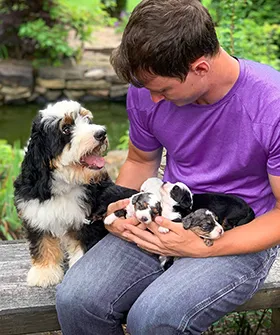 puppy socializing at Walnut Valley Puppies with F1b puppies