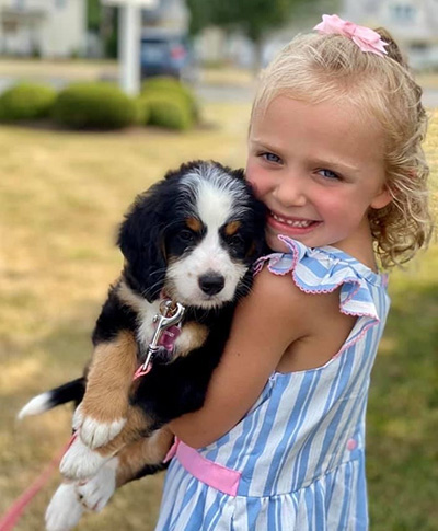 Walnut Valley Puppies mini bernedoodle being socialized