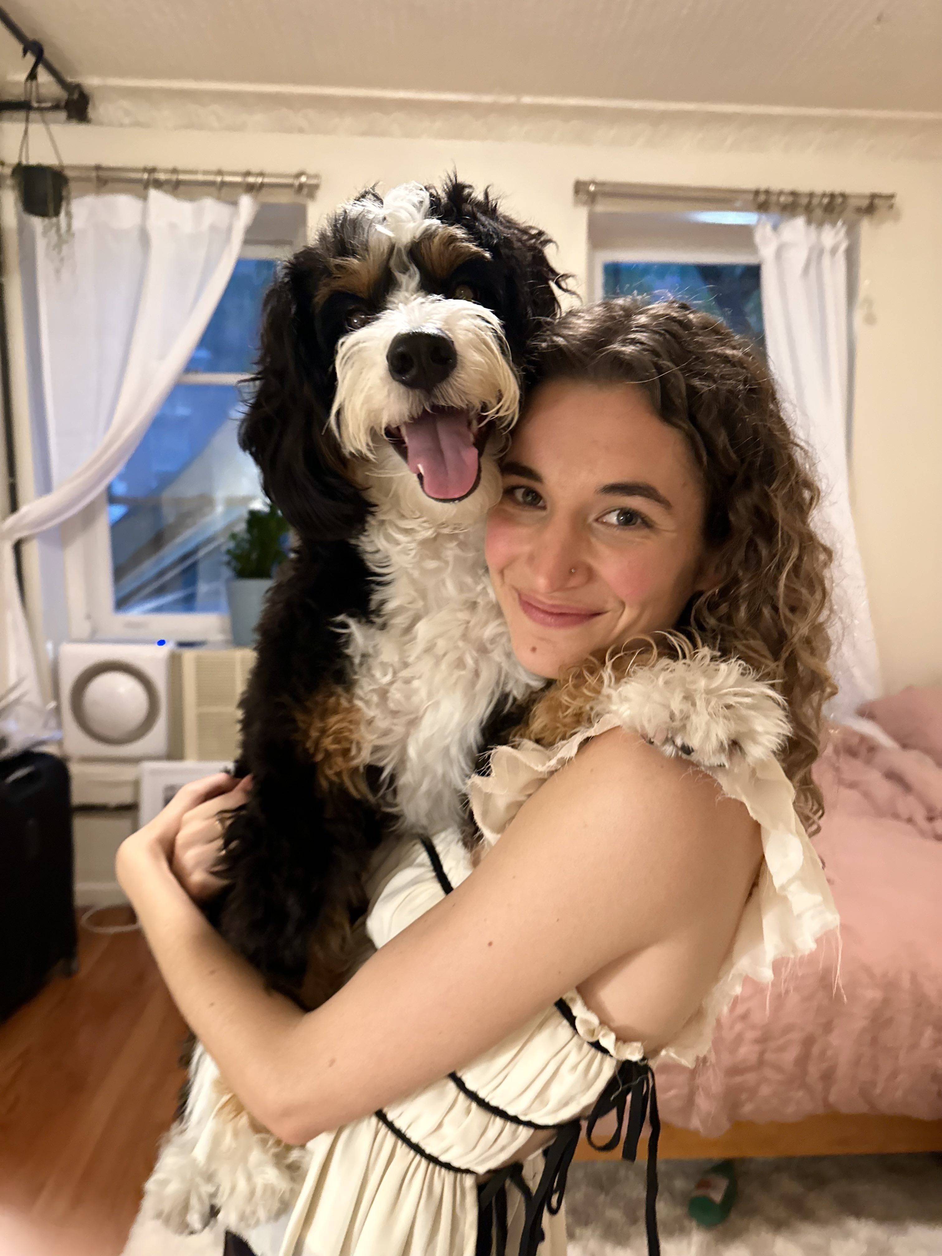 Young lady holding a hypoallergenic F1 Mini Bernedoodle raised by Walnut Valley Puppies
