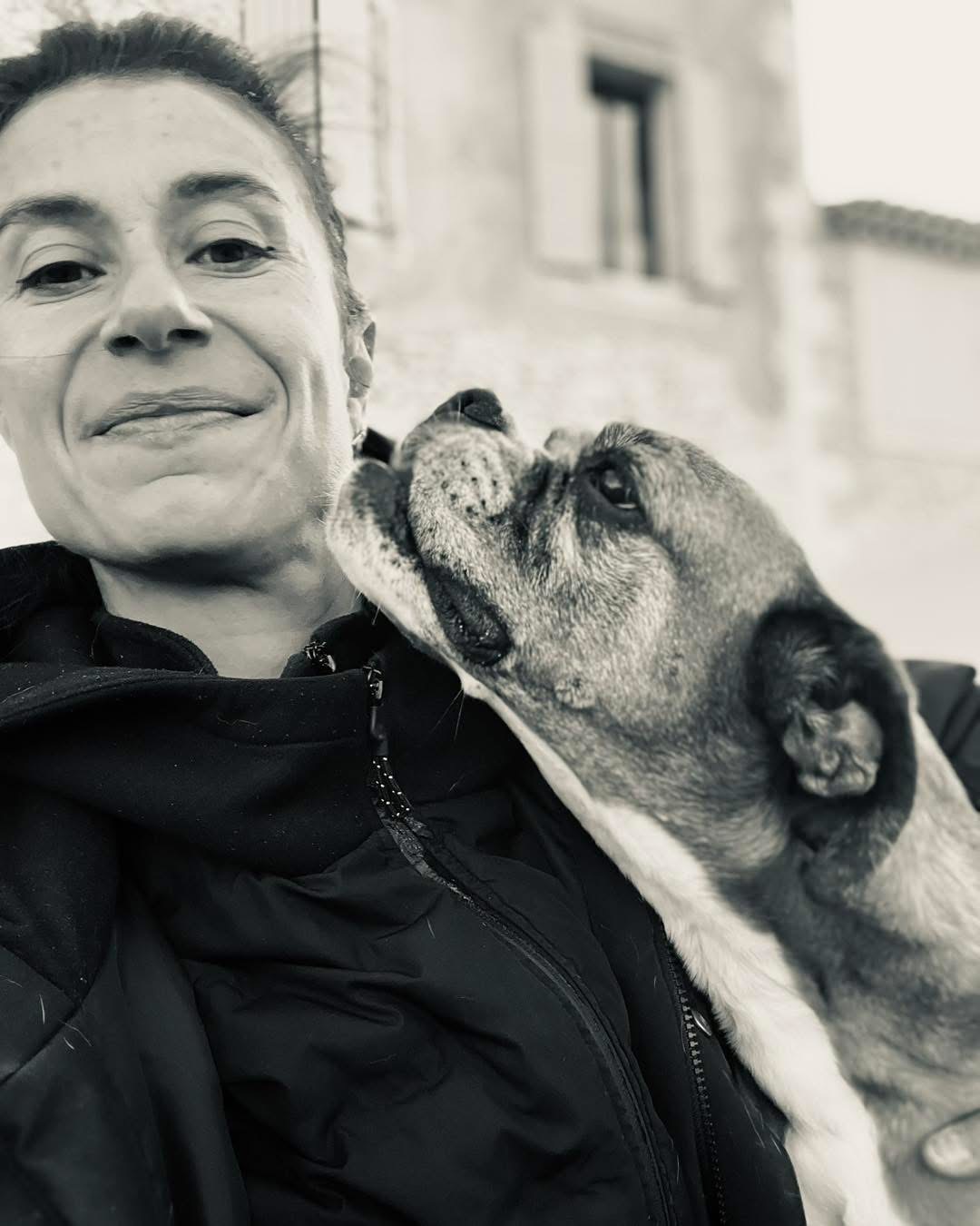 Chien obéissant assis calmement pendant un cours d'éducation canine à domicile