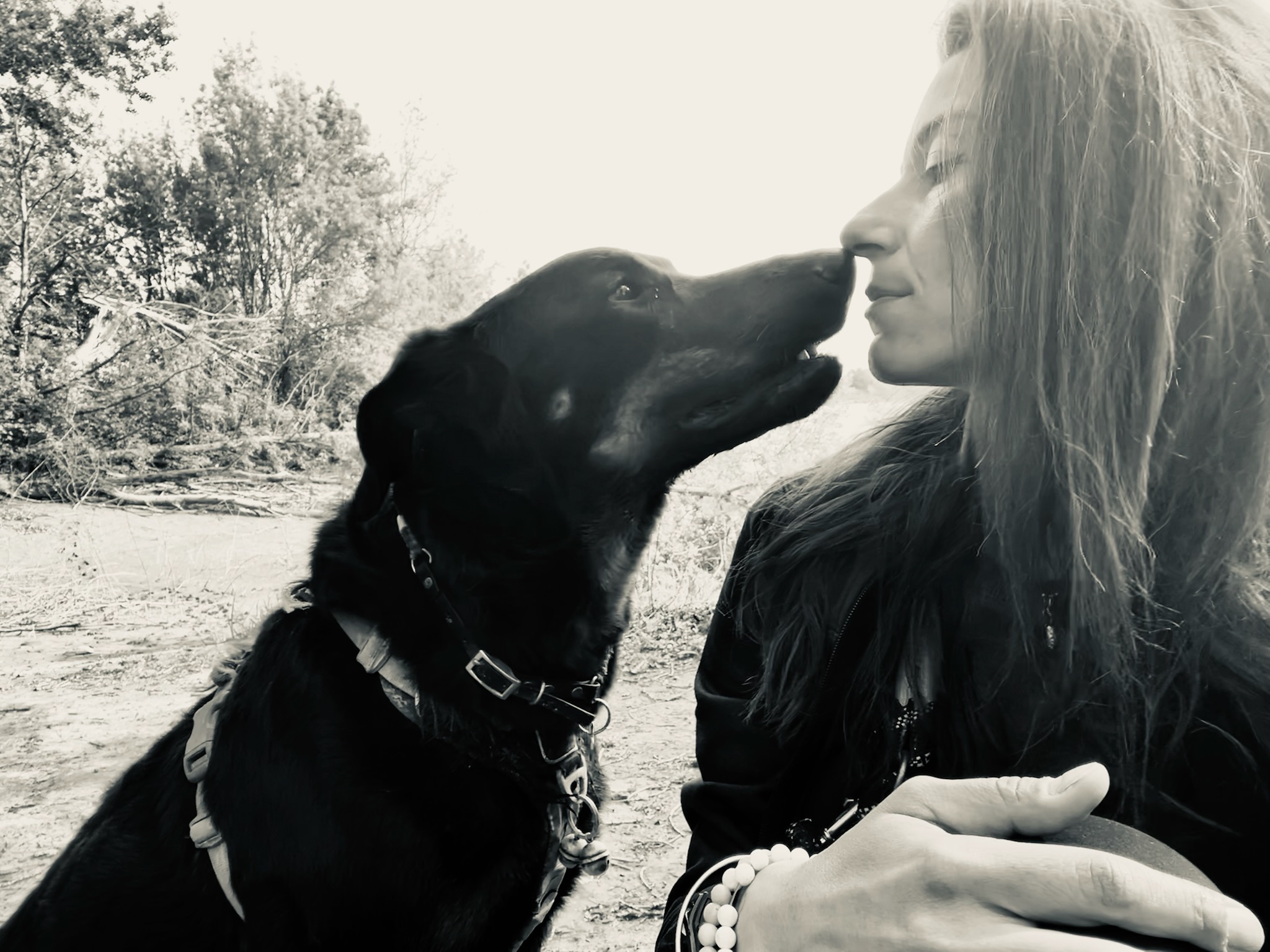 Propriétaire et son chien pendant une séance d'accompagnement comportemental à domicile à Avignon.