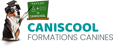 Logo-Caniscool