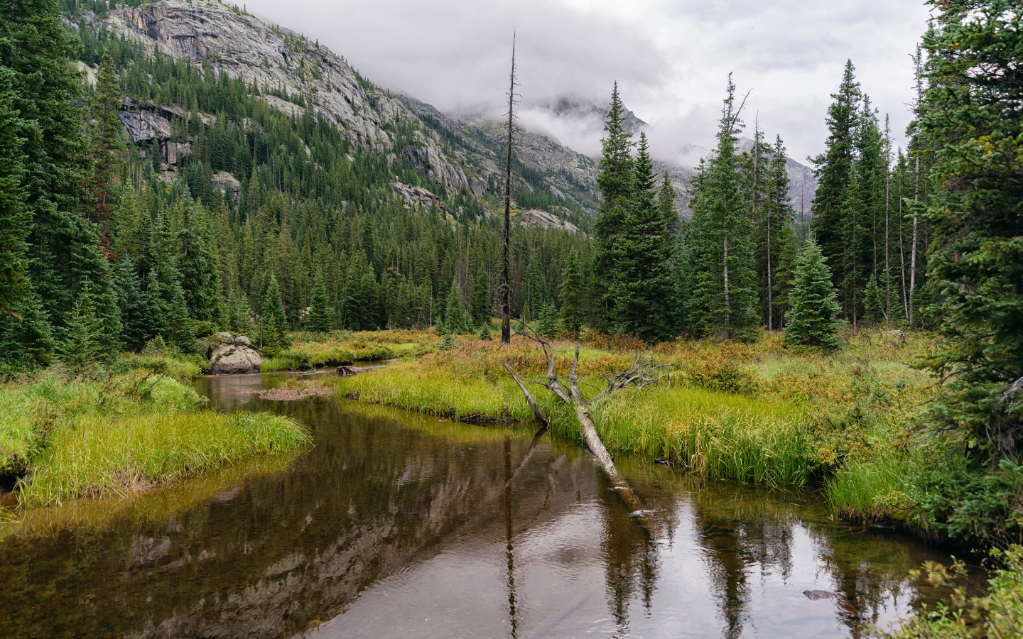 River landscape in the Holy Cross Wilderness, Colorado 