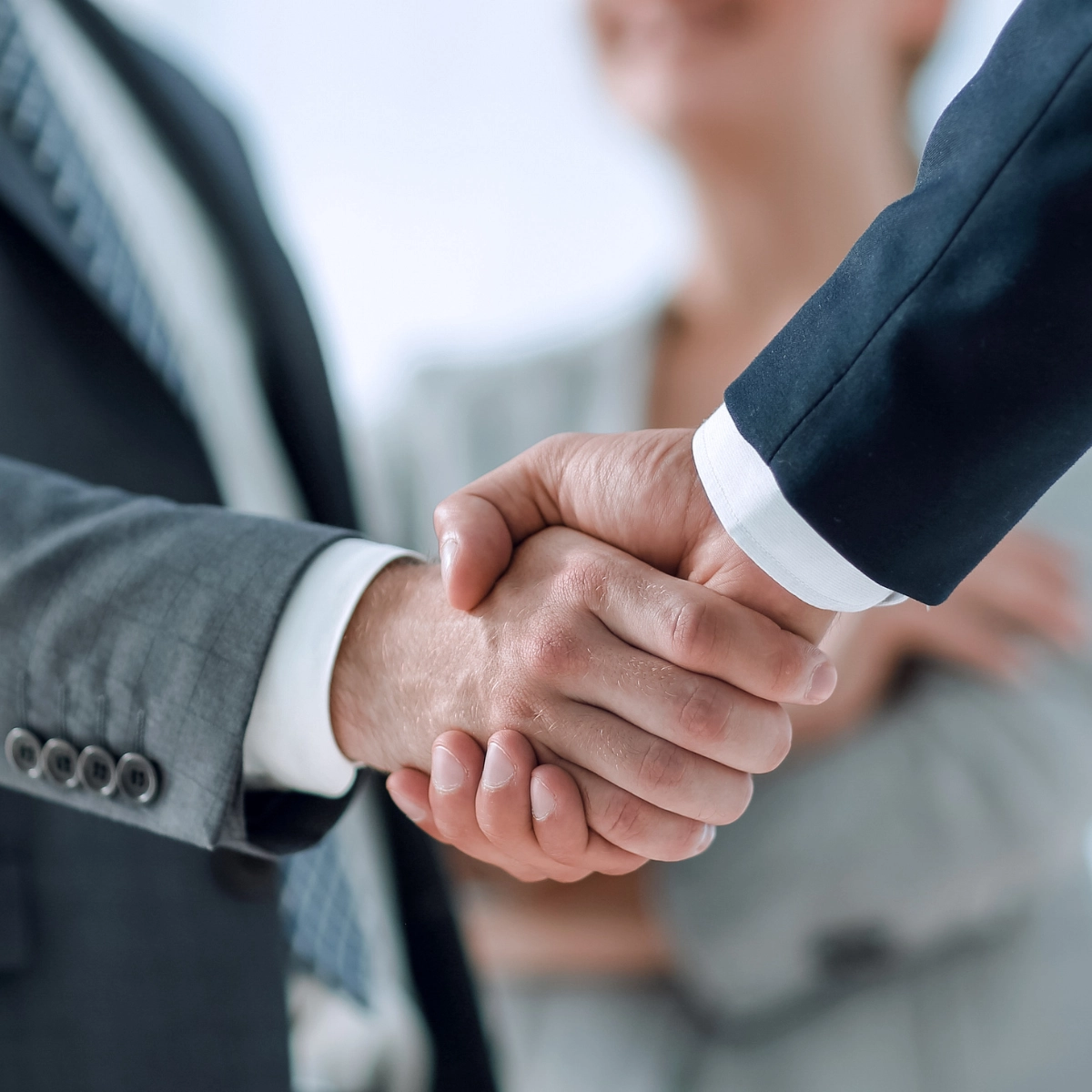 Image of partners shaking hands